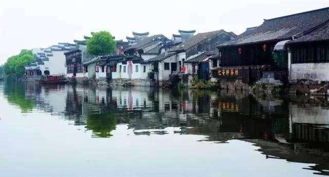 划龙舟吃粽子